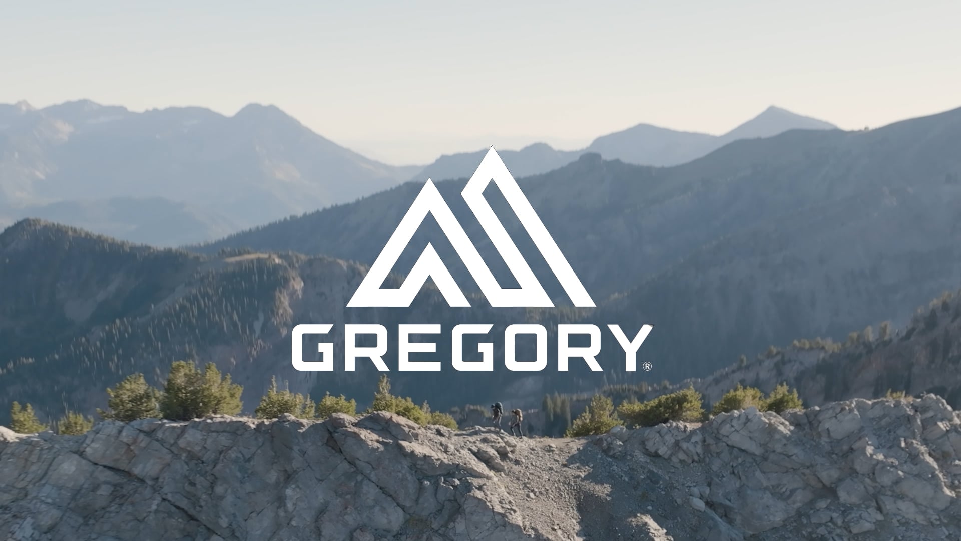 Rucsac de trekking pentru bărbați Gregory Paragon 48 l negru 126844