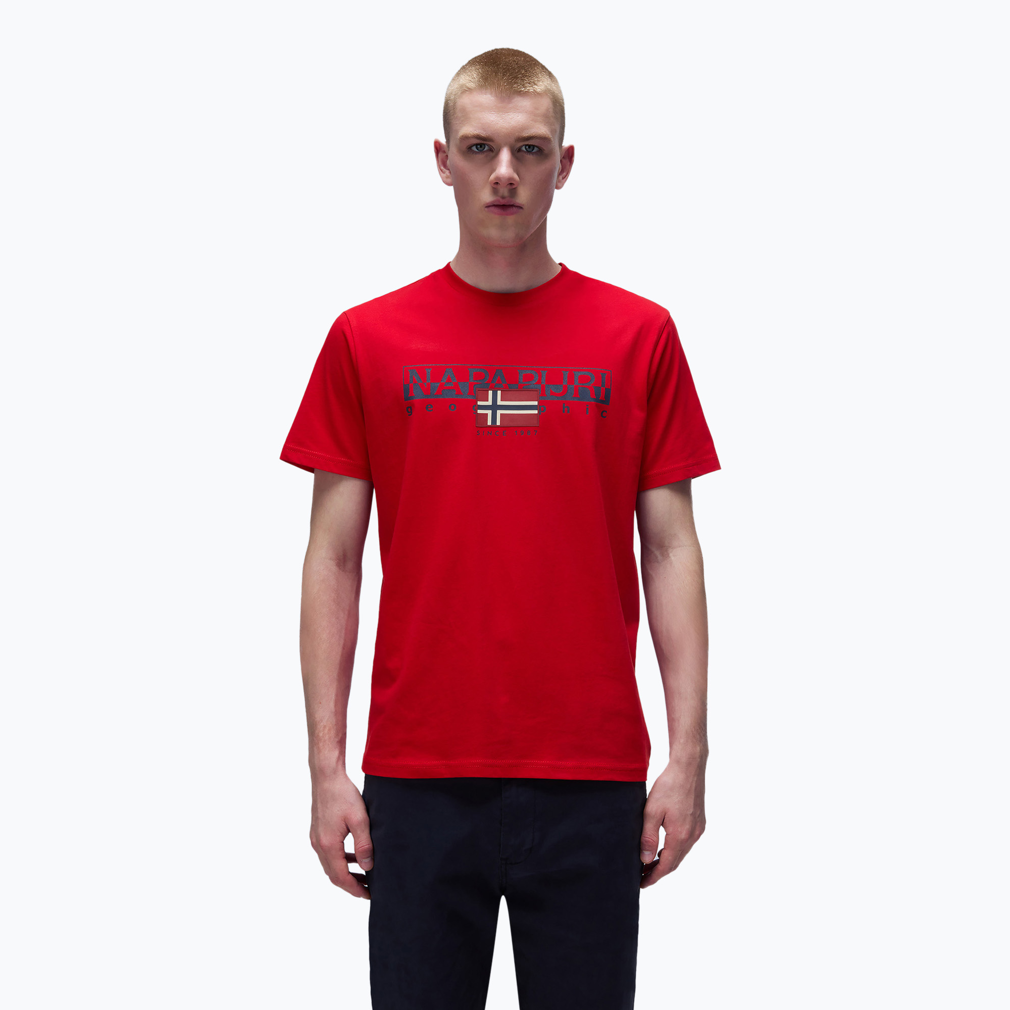 Tricou pentru bărbați Napapijri S-Aylmer red goji (S-Aylmer NP0A4HTO-R061)