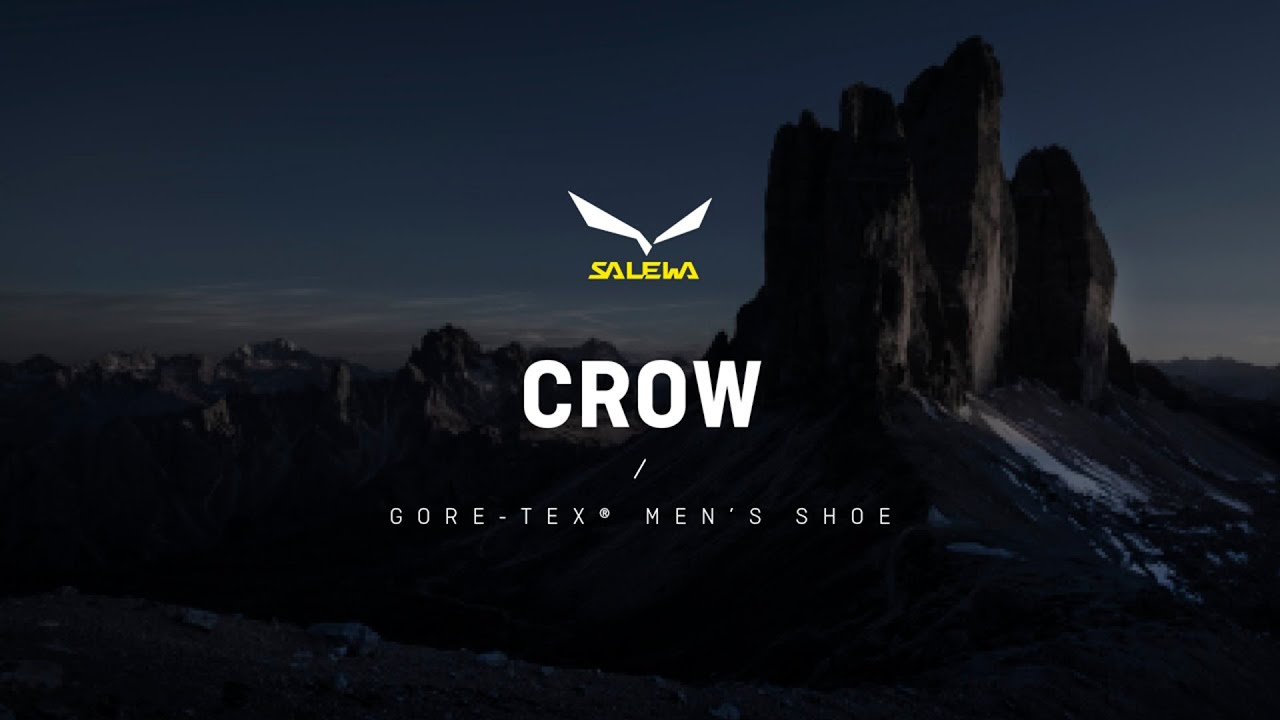 Cizme de munte pentru bărbați Salewa Crow GTX verde 00-0000061328