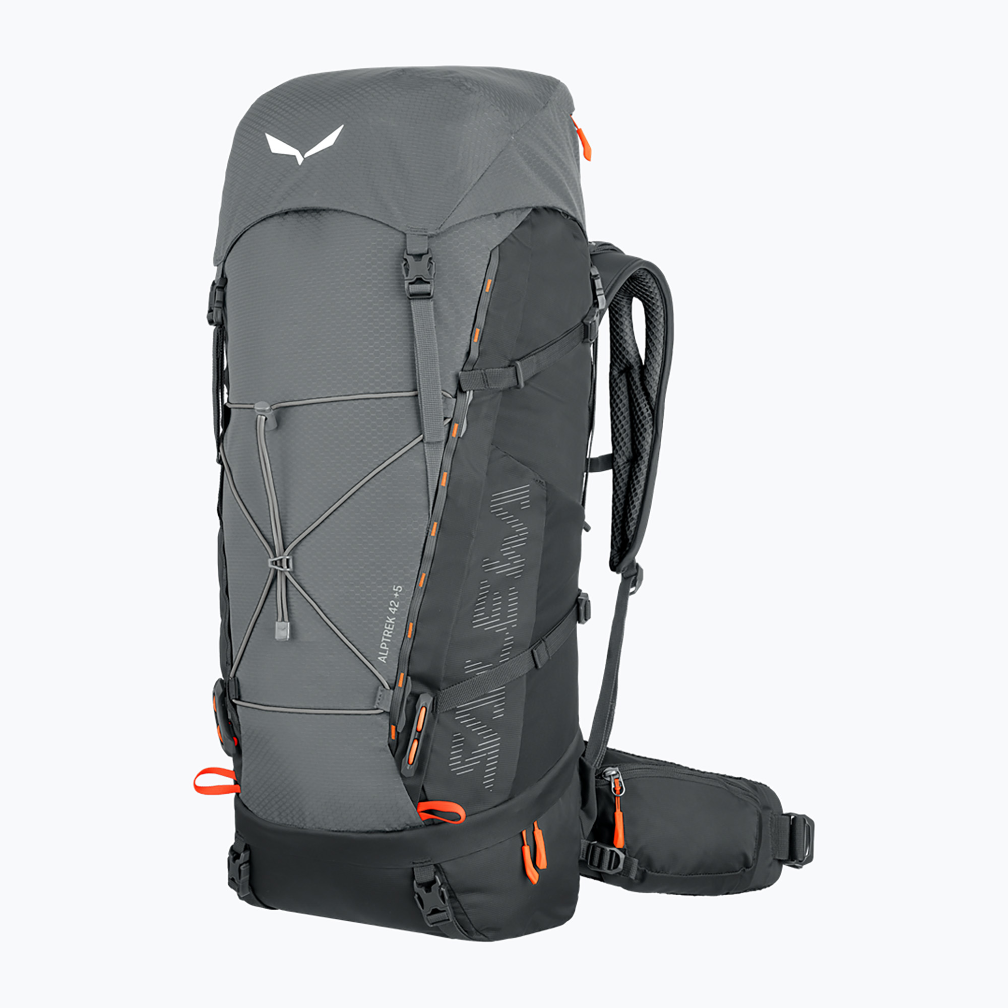 Salewa Alptrek 42 rucsac de trekking gri 00-0000001258 (Alptrek 42 00-0000001258)