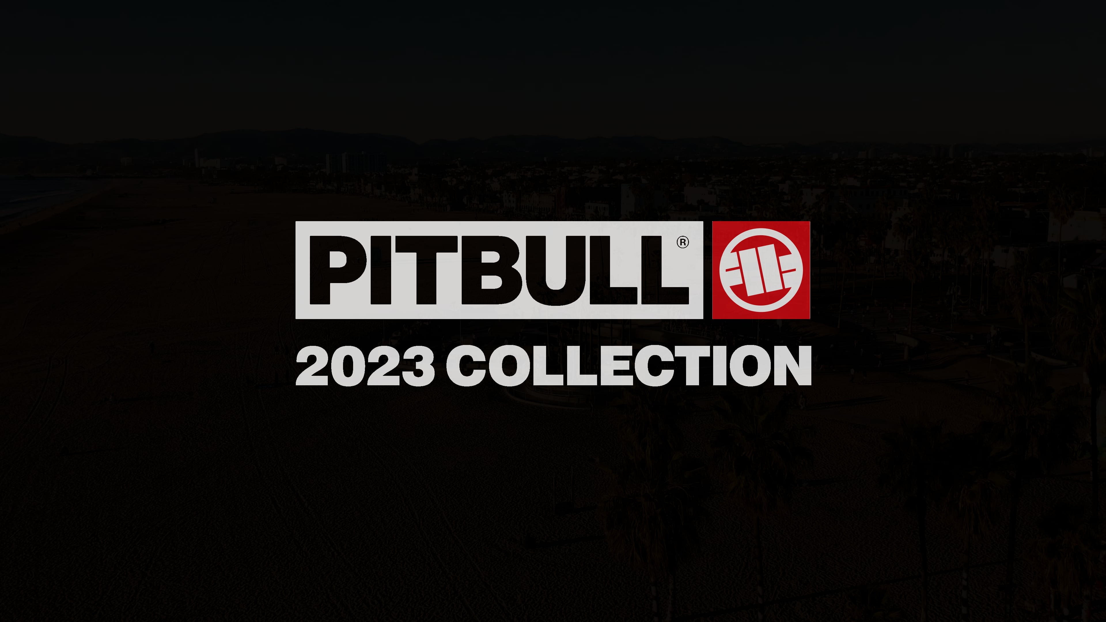 Tricou pentru bărbați Pitbull West Coast T-S Hilltop 170 mint