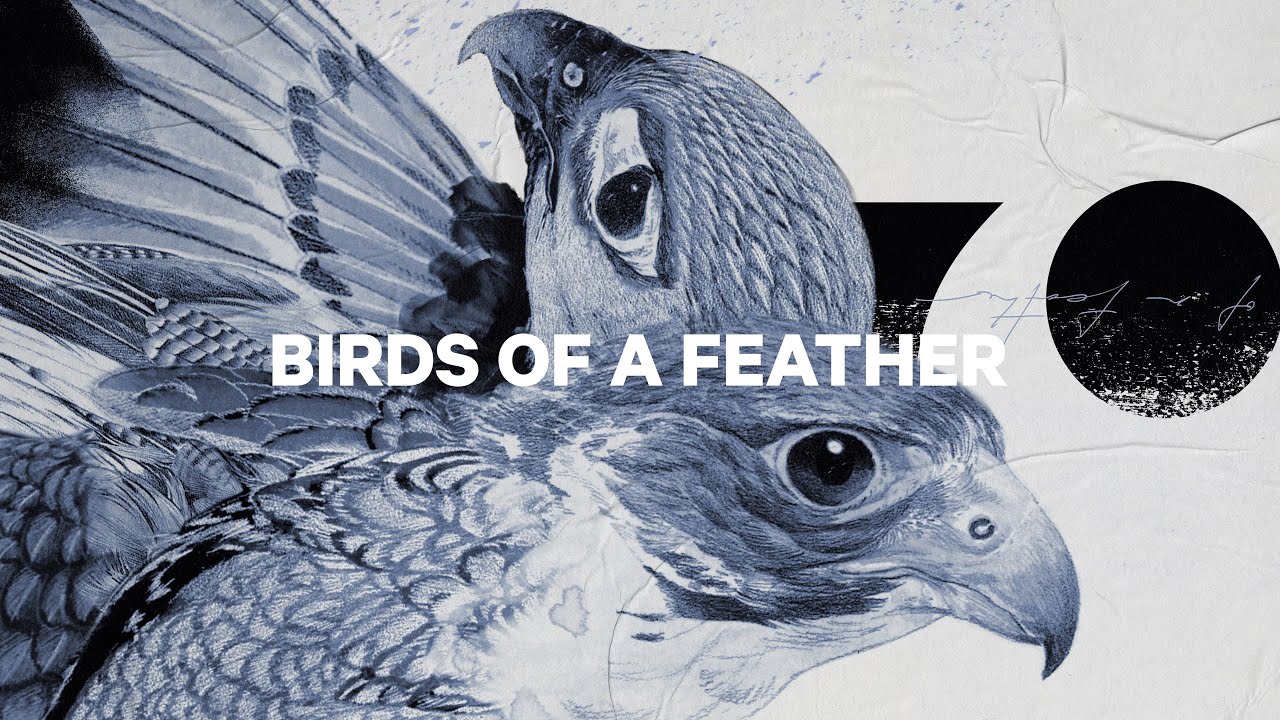 Snowboard pentru femei CAPiTA Birds Of A Feather 1221108