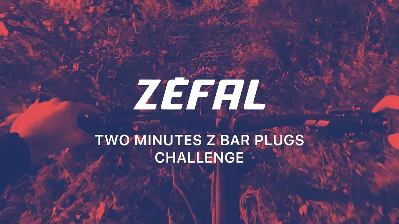 Petice pentru anvelopele fără cameră de aer Zefal Z Bar Plugs Tubeless Repair Kit