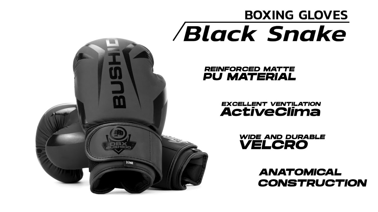 Mănuși de box DBX BUSHIDO 'Raptor' negru