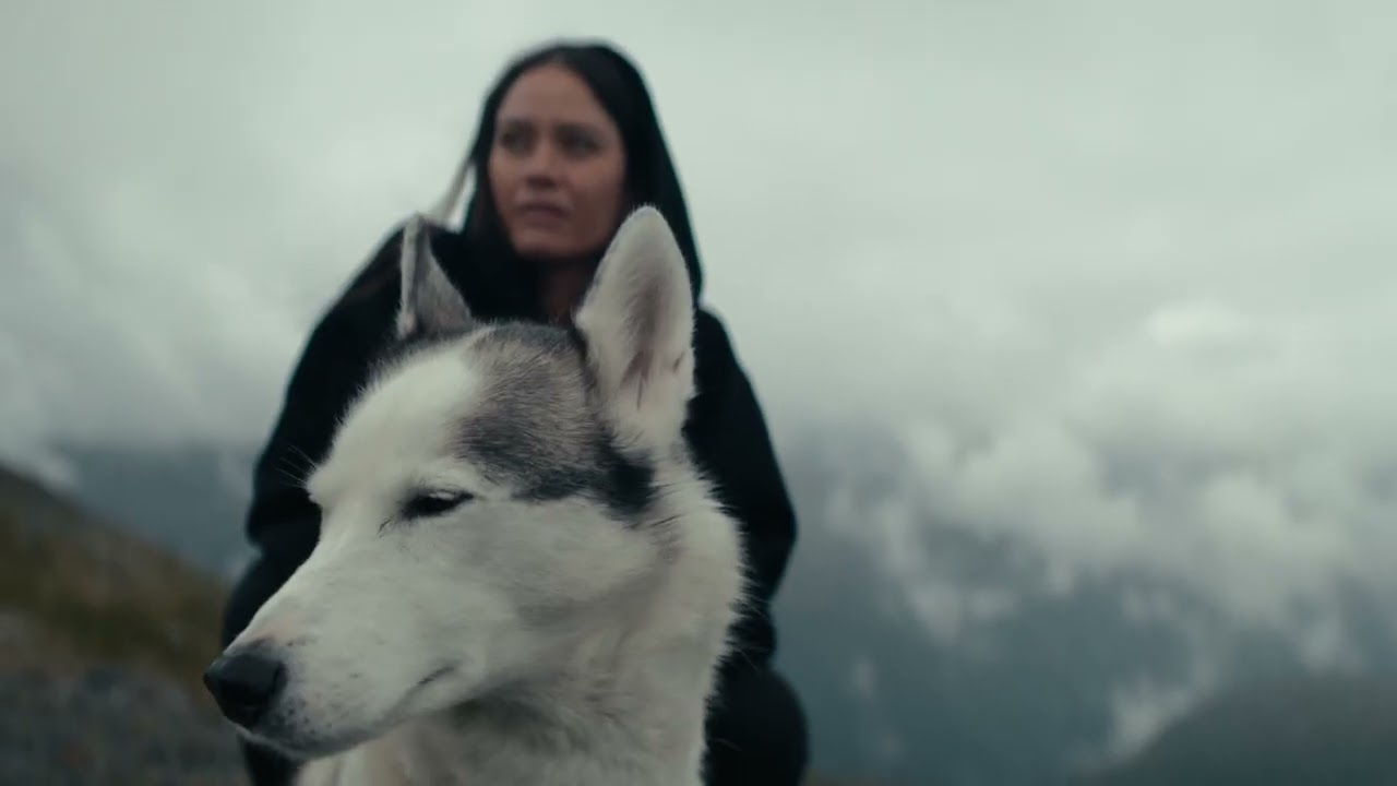 Cutie de acoperiș Thule Motion 3 L negru lucios