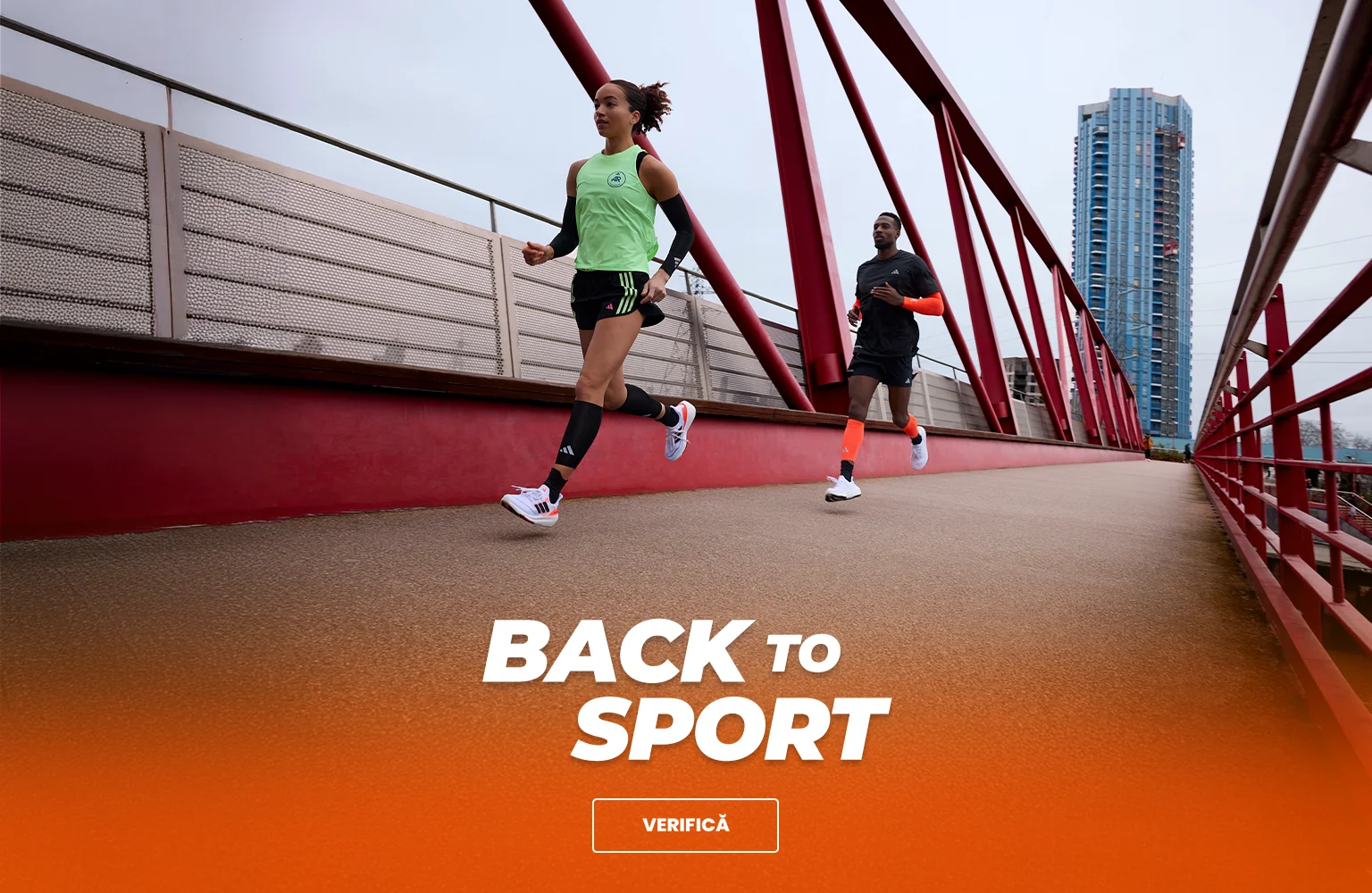 Back to sport