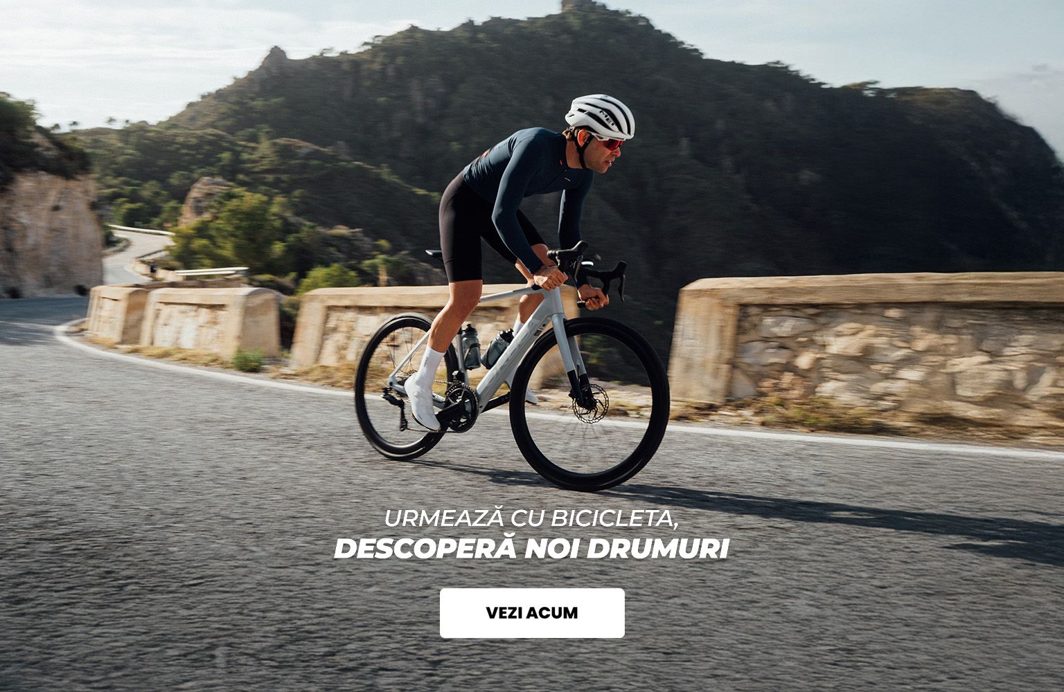 Biciclete