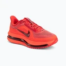 Nike Pegasus