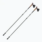 Bețe Nordic Walking
