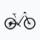 Biciclete electrice