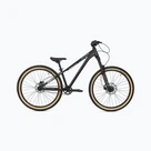 Biciclete pentru tineret