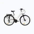 Biciclete de trekking