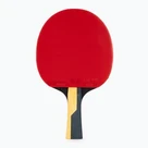 Tenis de masă